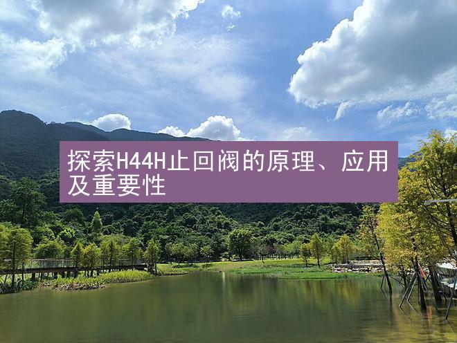 探索H44H止回阀的原理、应用及重要性